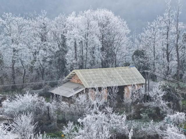 冬日限定！贵州的雾凇秘境藏不住了
