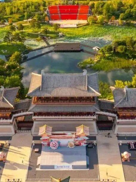 初冬高饱和度美景，还得看洛阳！