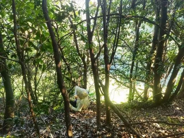 杭州女子去女明星打卡过的山顶观日落，误入野路身临绝境
