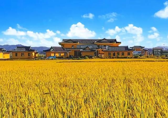 周末畅游G331→延边山河秘境馈赠的舌尖旅行
