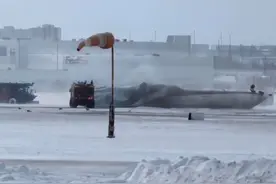 加拿大多伦多机场一飞机着陆时发生事故 已致8人受伤图片