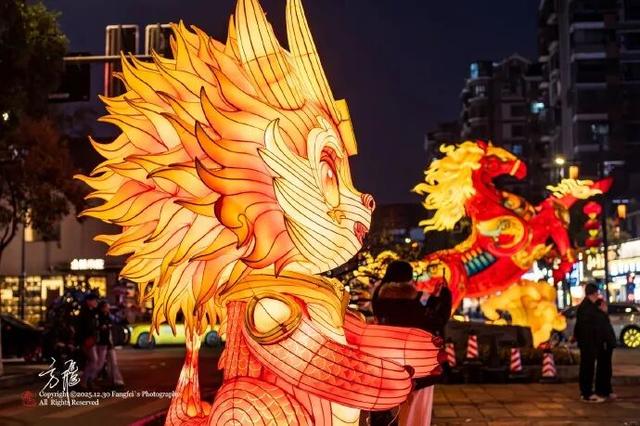 门东新“顶流”！一棵美到让全南京排队围观的树！