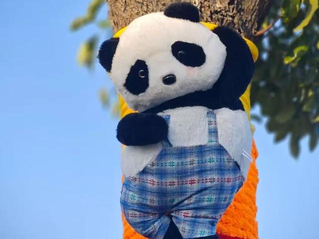 这里的元旦活动，你确定不来吗？