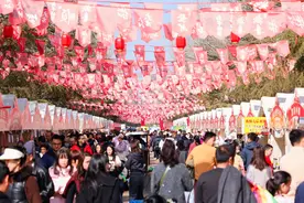新春走基层｜日均超3万人次！昆明福保半岛新春民俗节引客来图片