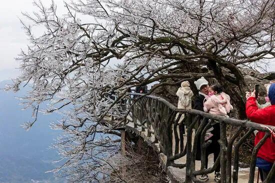 一眼心动！雾凇，山巅的“冰雪派对”
