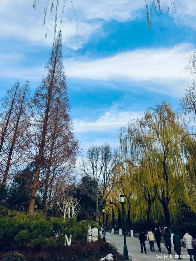 冬日趵突泉，寒风中美景依然