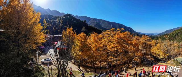 【每日一图@湖南】在永州桐子坳，我找到了最动人的浪漫