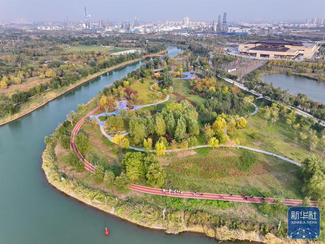 河北沧州：大运河堤顶路铺就美好生活新图景
