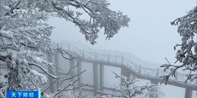 元旦登高！山岳类景区门票预订量涨超150%