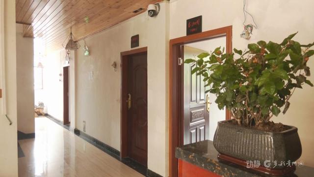 跨省“候鸟”栖居黔山，扇动百亿清凉经济
