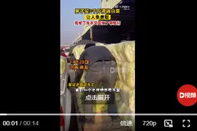 男子买3千斤滞销白菜让人免费取：既帮了菜农又回馈了邻居们图片