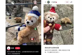 沪上“新晋顶流”人气飙升，警惕粉丝这种“爱”，已致多起悲剧……图片