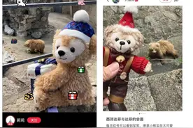 沪上“新晋顶流”人气飙升，警惕粉丝这种“爱”，已致多起悲剧……图片