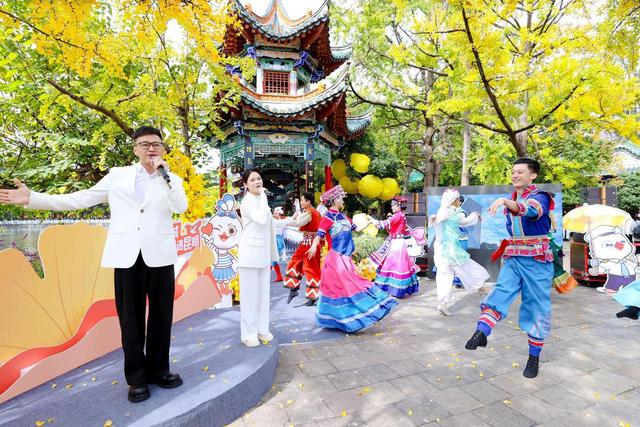 杏运春城，鸥遇昆明！昆明开启2025赏杏观鸥季