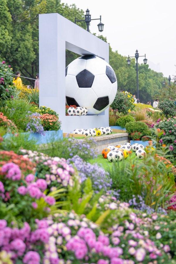 金秋菊展多种花卉组成彩带，汉口江滩百米“花街”出圈