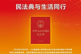 民法典宣传月 | 民法典知识海报图片