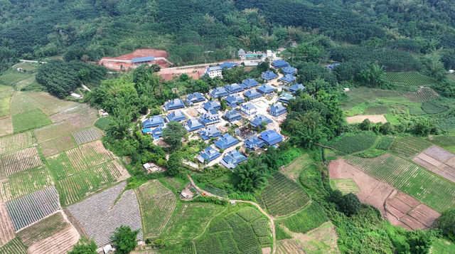 旅居云南丨生活在磨憨：体验雨林徒步、特色美食和绚烂民族文化