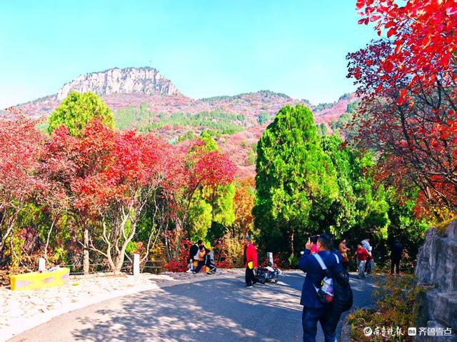 醉美深秋！济南红叶谷红叶引来大批游客