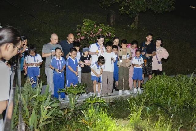 在龙华，公园是这么逛的