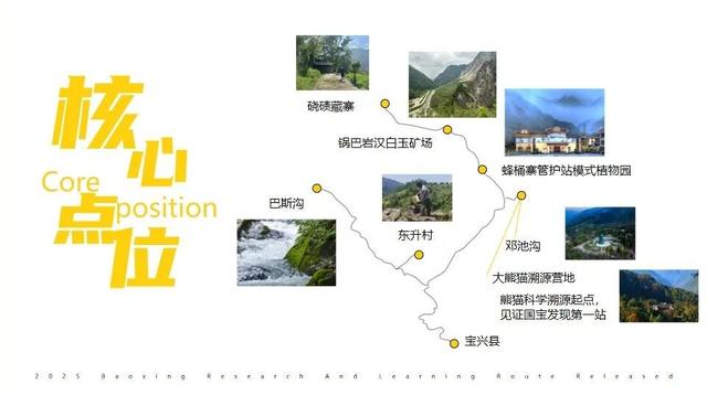 以熊猫为邻，与孩子交心，让亲子关系回归本真