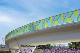 @成都市民：环城绿道骑行安全要出台管理办法了图片