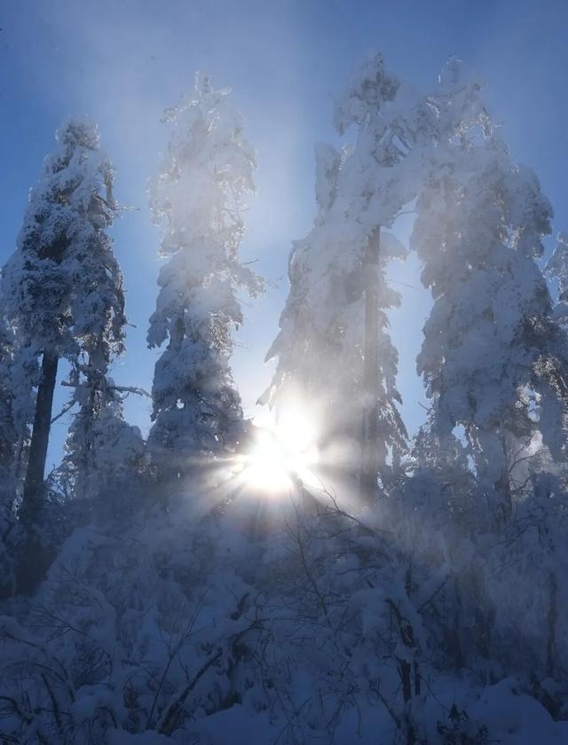 高能集合！瓦屋山百万游客冲刺中，【万元神秘惊喜】等你来解锁！