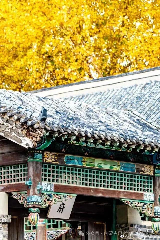 最低400元！“经呼飞”机票福利来袭→