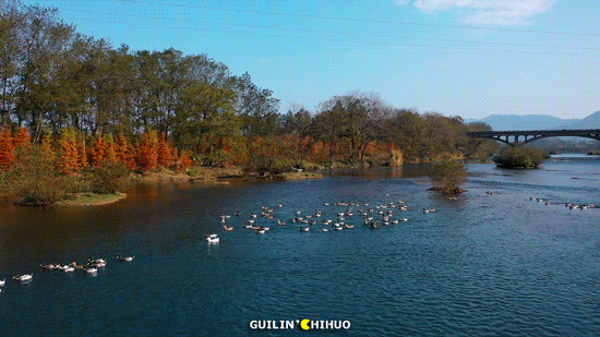 冬至丨解锁桂林的多彩冬天！