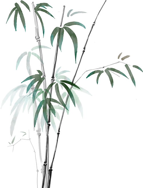 就在本周末！杭州中医药特色文旅夜市开幕啦~
