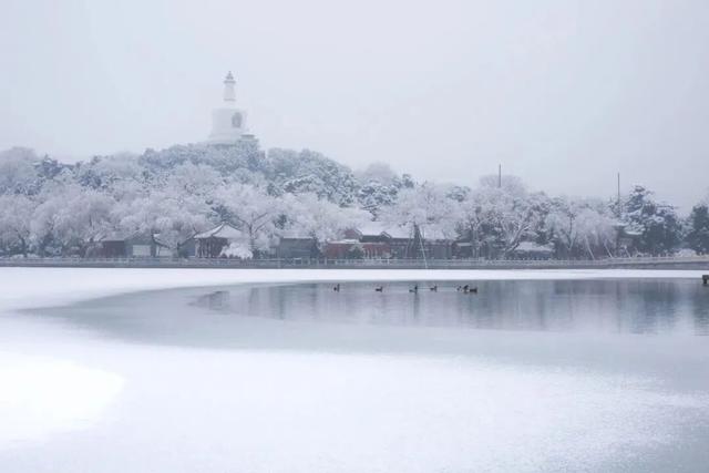 北京下雪了！雪景大片抢先看！外出注意防寒保暖