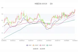 中国石化：2024年上半年净利润同比增长1.69% 拟10派1.46元图片