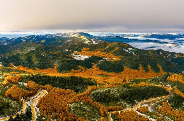 赏彩林不用去川西 凉山的“大兴安岭”，随手一拍就是大片！丨图集