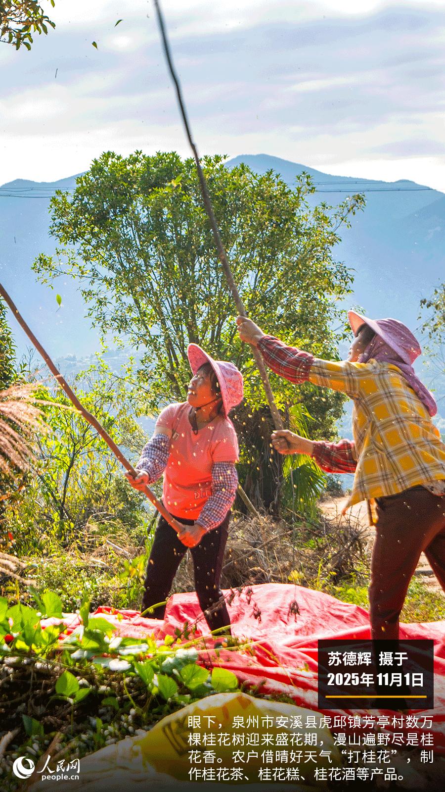 第二十七届湄洲妈祖文化旅游节在莆田举行