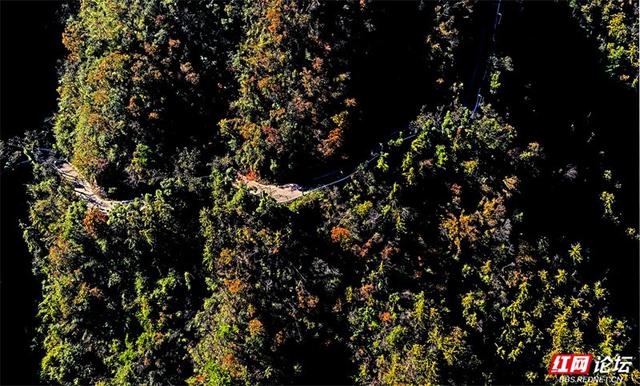 岁暖时刻丨无需远行，中坡山便是怀化的诗与远方