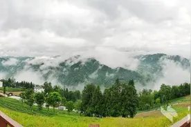 打造恩施玉露新业态 恩施市创建恩施玉露产业示范带纪实图片