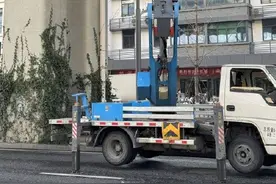 攀高、钻洞、“飞天入地”……猫咪消防员8年救近3927只猫咪图片