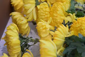 视频｜福建宁德：两万多名青少年传承“清澈的爱”图片