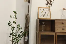 【活力微细胞】勇敢的人先享受世界图片