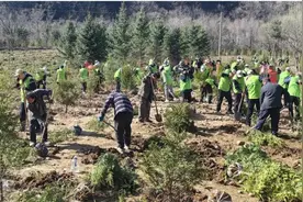 世界森林日：“关注森林 关爱自然”义务植树活动举行图片