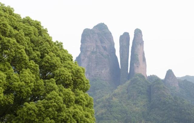 电影票根变 “福利卡”，2500余名游客畅享江郎山带火消费