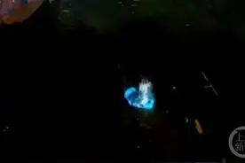 游客为拍“蓝眼泪”买石头扔海里，出游时请绷紧“敬畏自然”这根弦图片