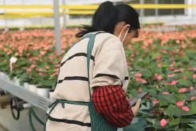 东营区牛庄镇：潮汐灌溉 让农业生产“潮”起来图片