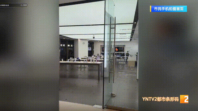 昆明一写字楼出现密密麻麻的飞虫，专家提醒→图片