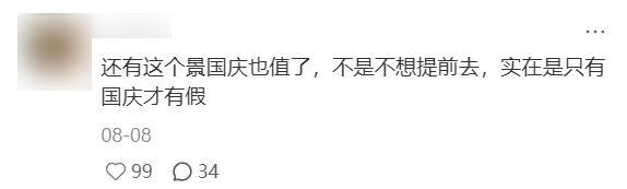 月入3万，去不起新疆「平替」？