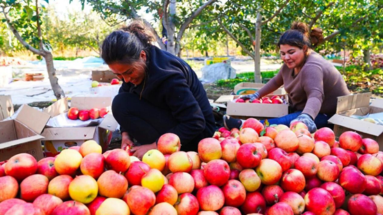 “世界喀拉峻·中国八卦城”新疆特克斯县亮相《300秒看家乡》