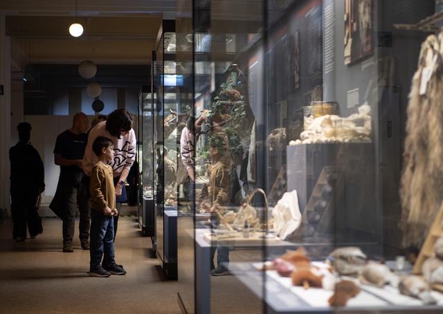 柏林：博物馆里的科学“校园”