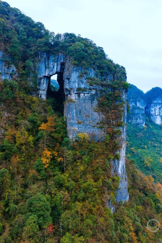 冬染金佛山 彩林美如画