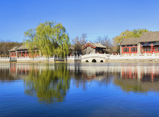 园博园初冬，赴一场静美之约