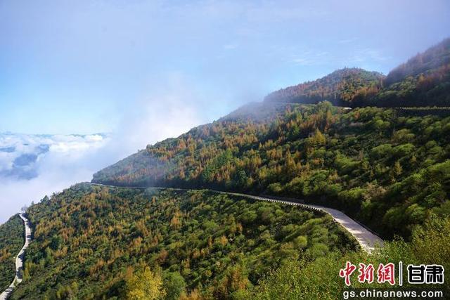 武都千坝草原秋景如画 美不胜收
