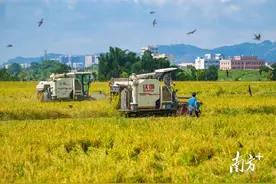 奖罚分明！广东带位置分解下达耕地保护任务图片